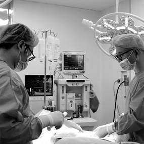 THỰC HIỆN CÔNG NGHỆ THẨM MỸ VÒNG 1 HIỆN ĐẠI NHẤT