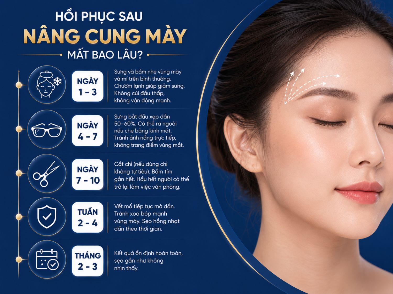 Quá trình hồi phục sau nâng cung mày thường diễn ra theo từng giai đoạn rõ ràng. Sưng và bầm giảm dần trong 1–2 tuần đầu, trong khi kết quả và sẹo ổn định hoàn toàn sau khoảng 2–3 tháng.