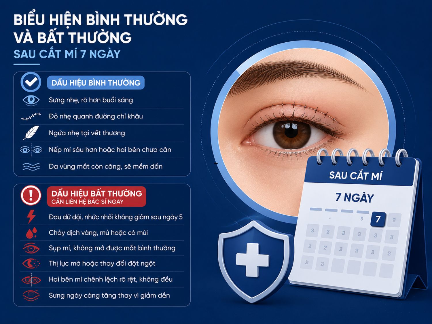 Sau 7 ngày cắt mí, sưng nhẹ và ngứa nhẹ thường là phản ứng hồi phục bình thường. Tuy nhiên nếu đau tăng, chảy mủ, sụp mí hoặc thị lực thay đổi, cần liên hệ bác sĩ ngay để kiểm tra.