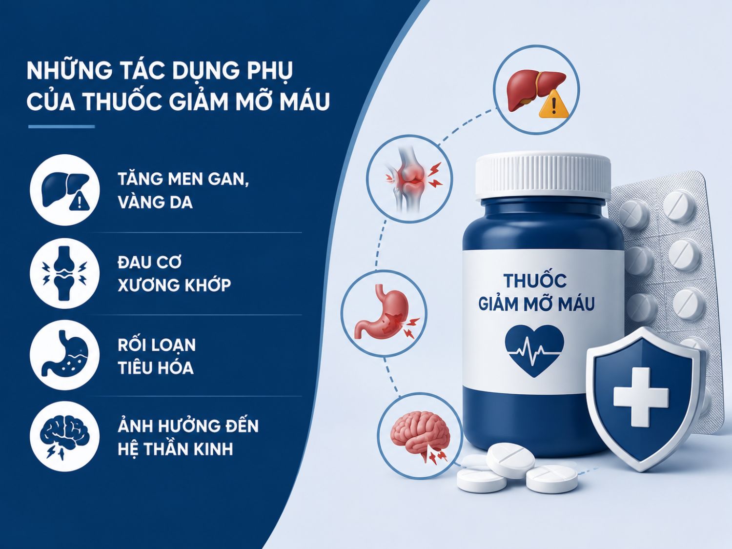 Thuốc giảm mỡ máu có thể gây một số tác dụng phụ như tăng men gan, đau cơ, rối loạn tiêu hóa hoặc ảnh hưởng hệ thần kinh, đặc biệt khi dùng kéo dài hoặc không được theo dõi đúng cách.
