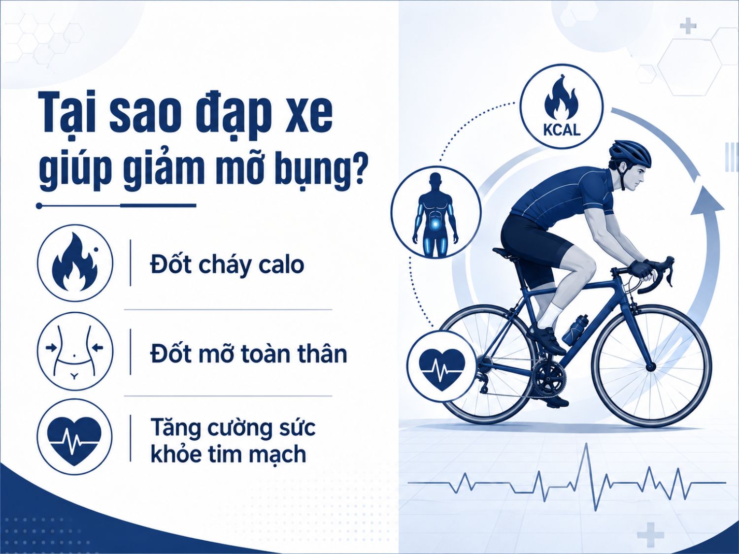 Đạp xe là hình thức vận động giúp cơ thể tiêu hao năng lượng, hỗ trợ giảm mỡ toàn thân và cải thiện sức khỏe tim mạch. Khi kết hợp với chế độ ăn hợp lý, thói quen này có thể góp phần giảm mỡ bụng hiệu quả hơn.
