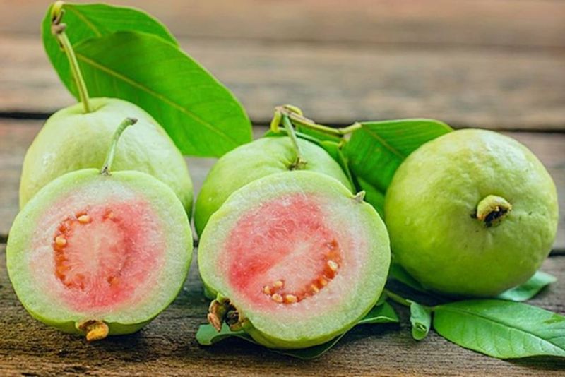 Ổi có tính cứng, dễ ảnh hưởng đến vùng mũi