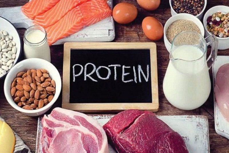 Protein giúp tái tạo tế bào và làm lành mô nhanh chóng