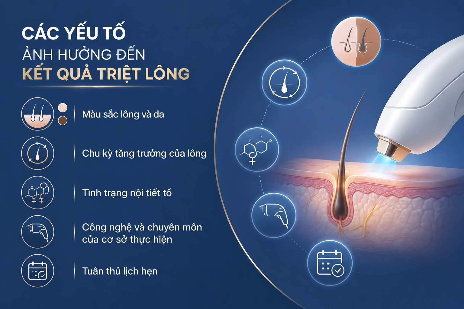 ảnh mô tả Các yếu tố ảnh hưởng đến kết quả triệt lông gồm màu sắc, chu kỳ, tình trạng....