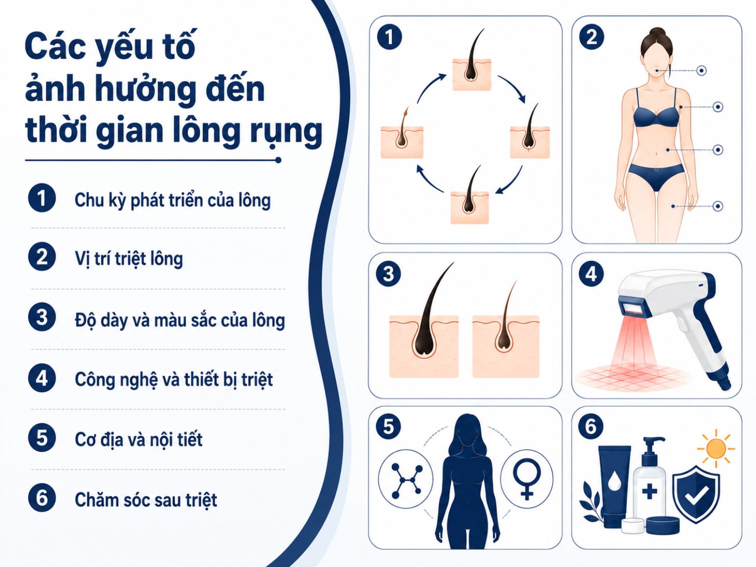 Thời gian lông rụng sau triệt phụ thuộc vào chu kỳ phát triển của lông, vùng điều trị, đặc điểm sợi lông, công nghệ triệt và cách chăm sóc sau thực hiện. Vì vậy, cần theo đúng liệu trình để đạt hiệu quả ổn định hơn.