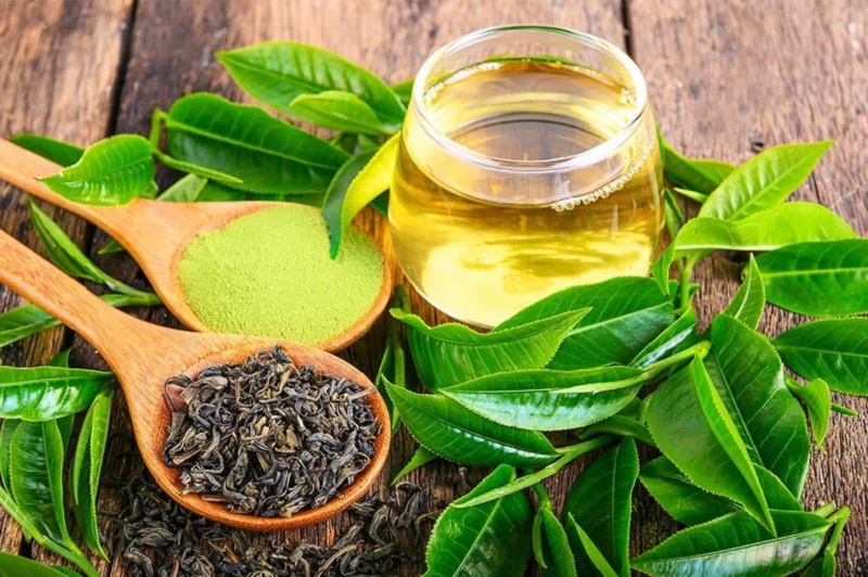 Trà xanh có công dụng ngăn ngừa hắc sắc tố phát triển
