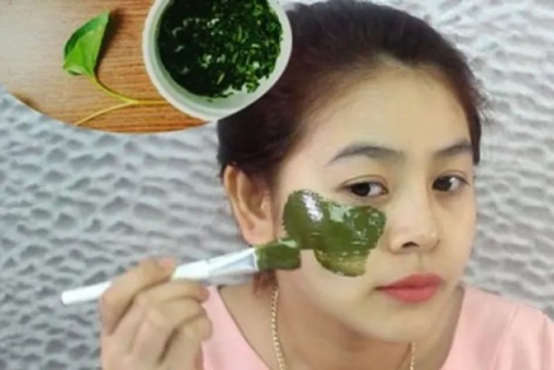 Rau diếp cá trị thâm tự nhiên