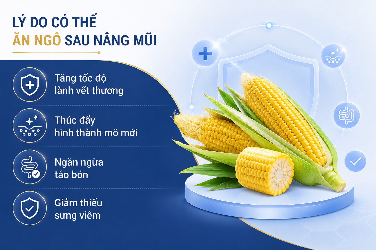 ảnh mô tả lý do nên ăn ngô sau nâng mũi, thực phẩm giàu dinh dưỡng, cung cấp nhiều vitamin, chất xơ và chất chống oxy hóa, có lợi cho quá trình hồi phục sau nâng mũi nếu sử dụng đúng cách và đúng thời điểm
