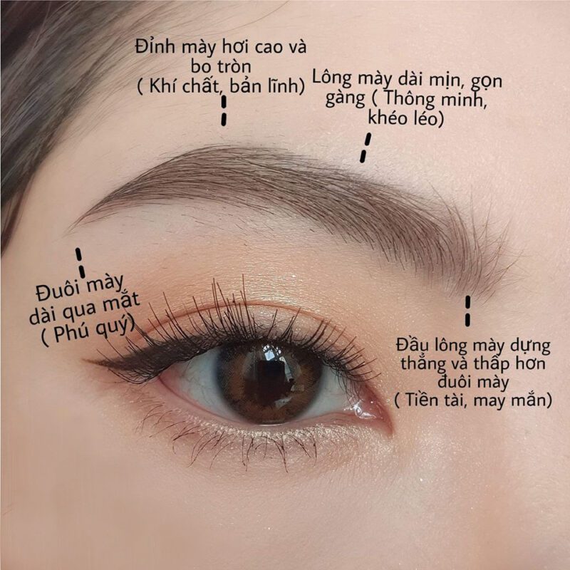 Chọn dáng mày tùy thuộc vào khuôn mặt mỗi người