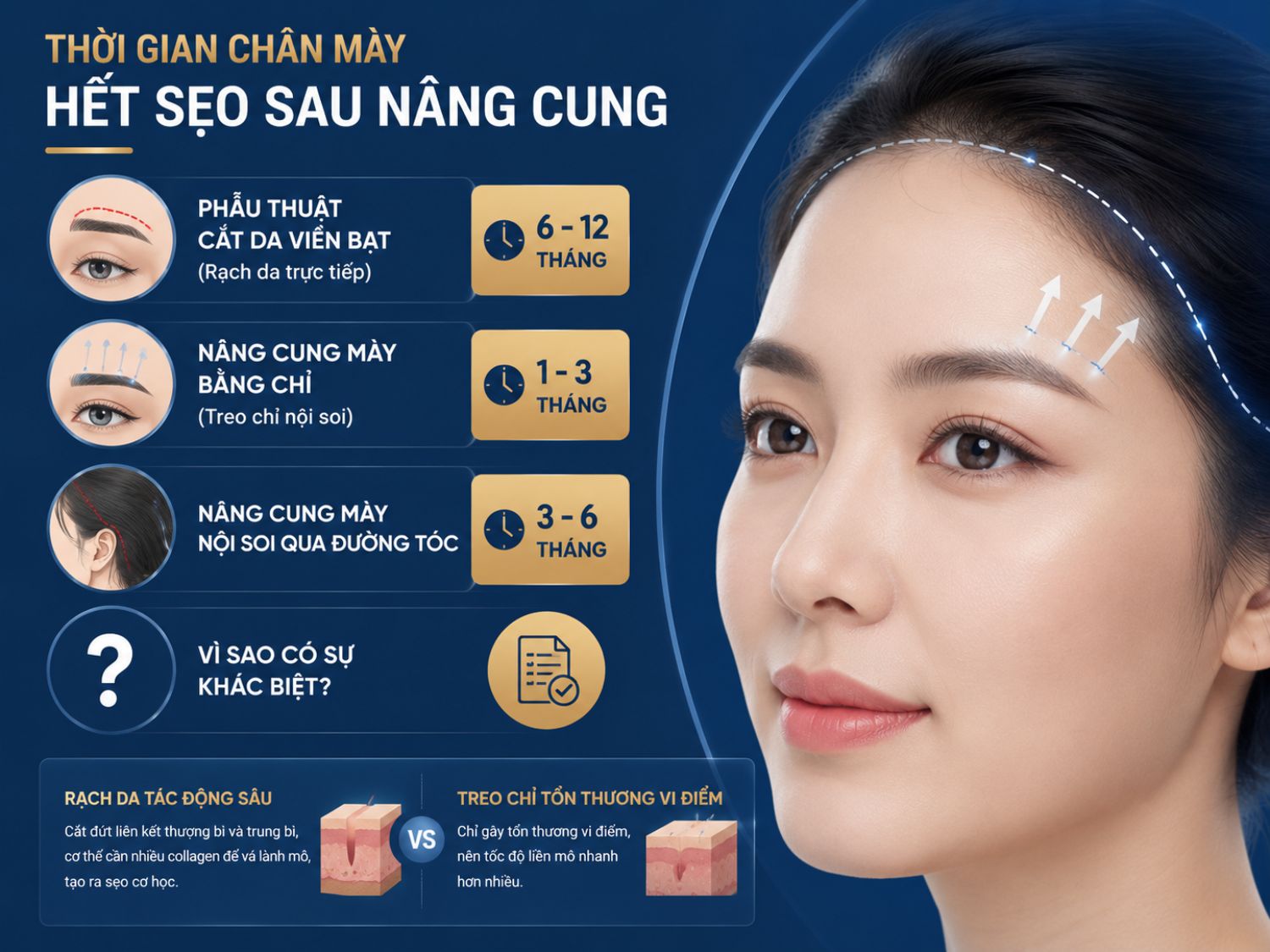 Mỗi phương pháp nâng cung chân mày có thời gian hồi phục và mờ sẹo khác nhau, phụ thuộc vào mức độ xâm lấn và cơ chế tái tạo mô của cơ thể.