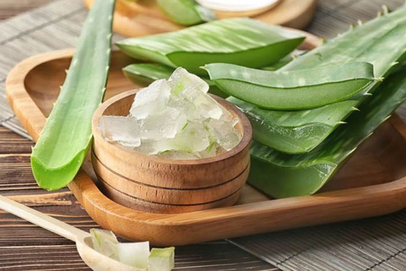 Nha đam kích thích hình thành tế bào da mới