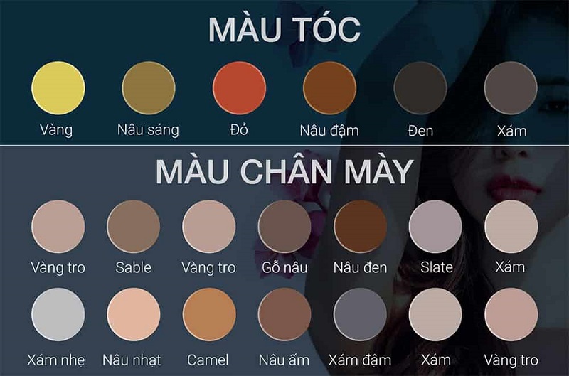 Những người có màu tóc đen nên chọn những tone màu lông mày nhẹ nhàng