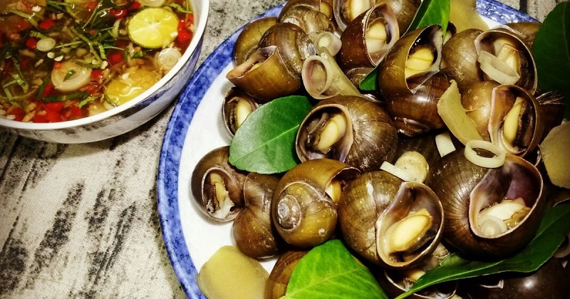 Cần tránh ăn ốc quá sớm