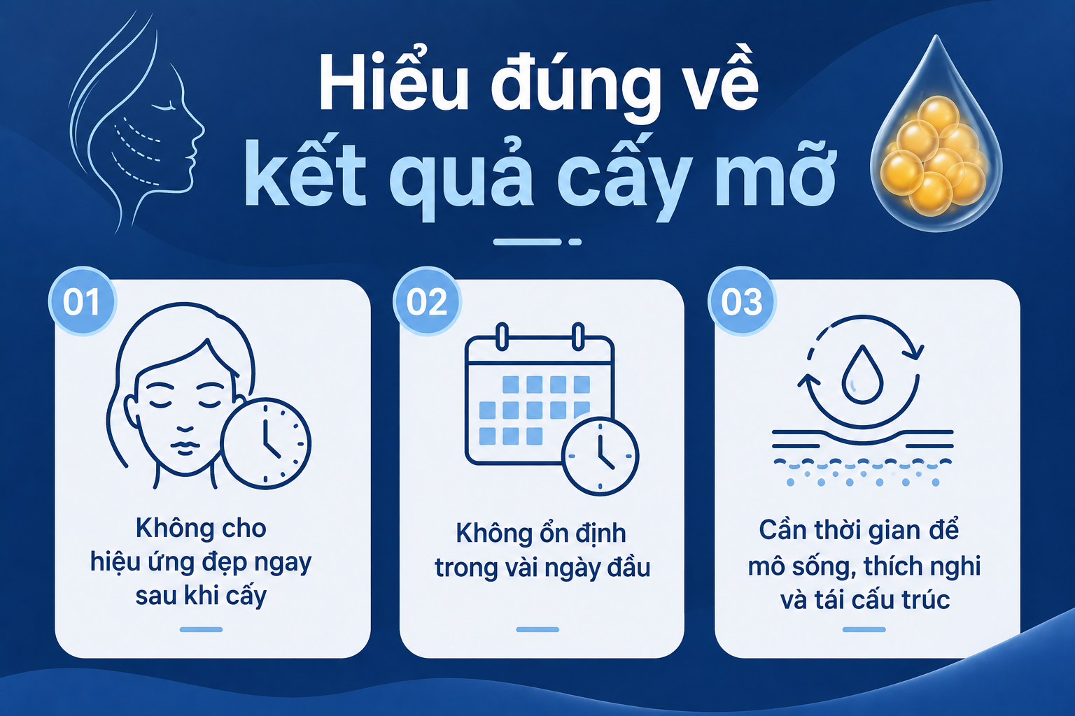 ảnh các ý để Hiểu đúng về kết quả cấy mỡ để không kỳ vọng sai lệch