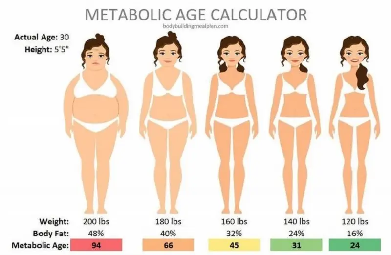 Tỷ lệ mỡ ổn định giúp duy trì sức khỏe tốt hơn