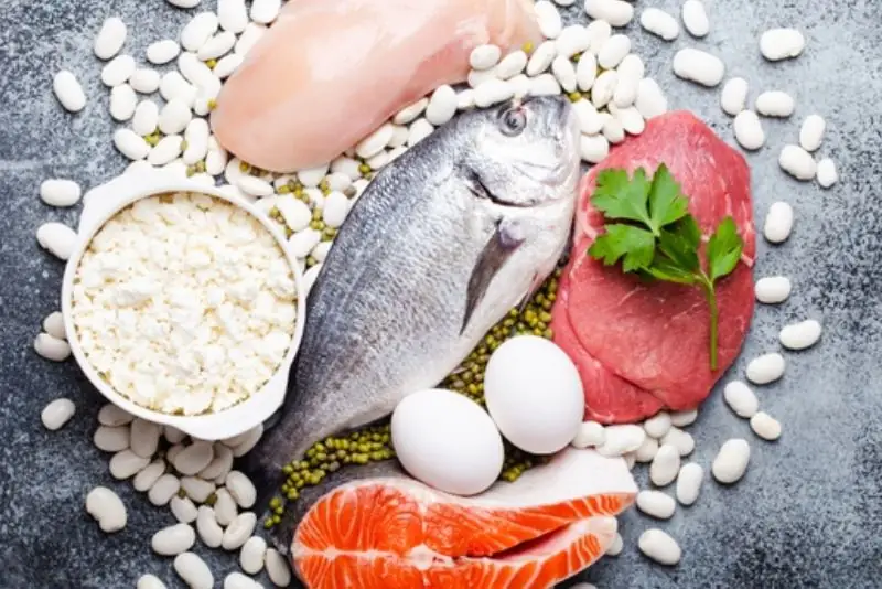 Thực phẩm giàu collagen và protein