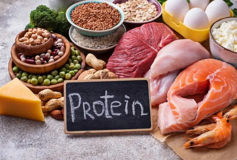 Hàm lượng protein trong các loại thịt giúp tăng cường sự phát triển của khối cơ