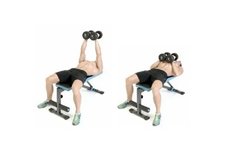 Bài tập ép ngực có tác động vào cơ ngực