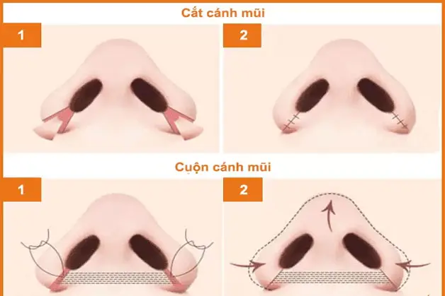 Mô phỏng kỹ thuật cắt và cuộn cánh mũi