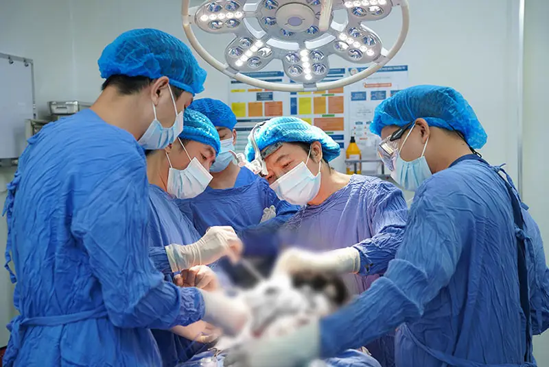 Chi phí gọt hàm phụ thuộc nhiều yếu tố