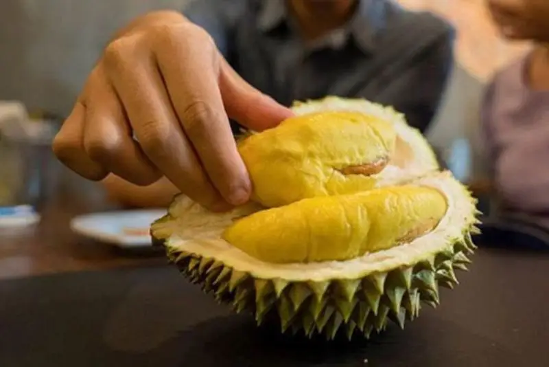 Không ăn sầu riêng sau nâng mũi vì có tính nóng, dễ gây nổi mụn và làm cơ thể khó chịu