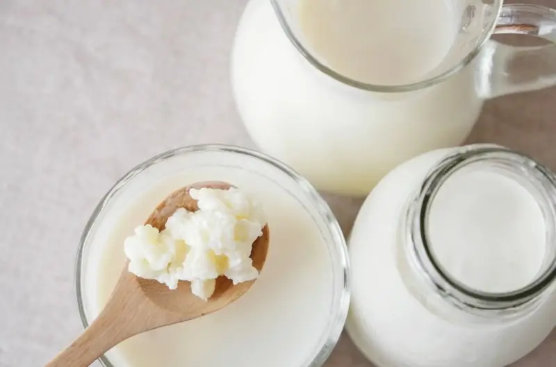 Sữa chua hỗ trợ tốt cho hệ tiêu hóa