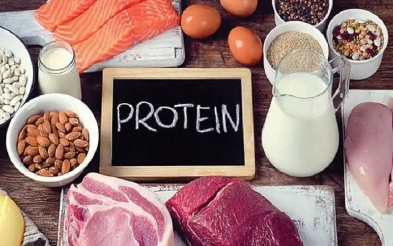 Bổ sung đầy đủ các thực phẩm giàu protein lành mạnh