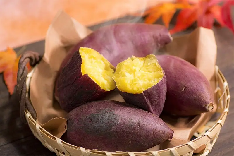 Khoai lang giàu hàm lượng chất xơ