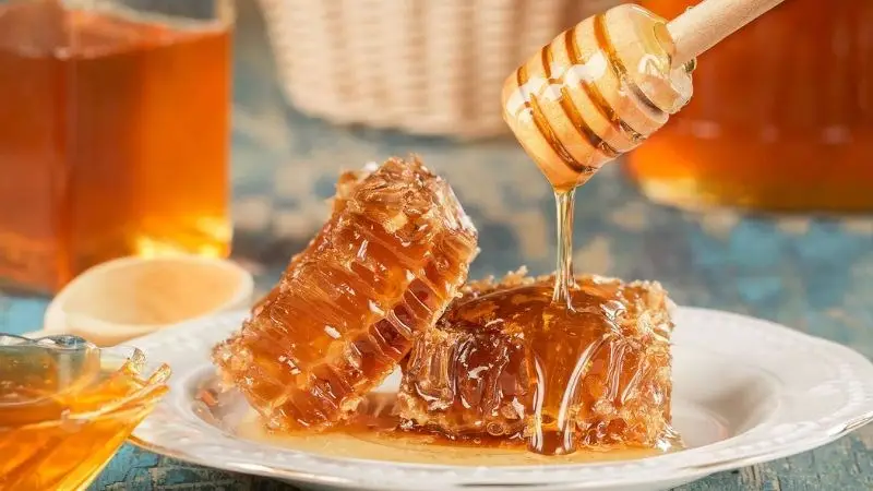 Mật ong có khả năng kháng khuẩn, chống viêm