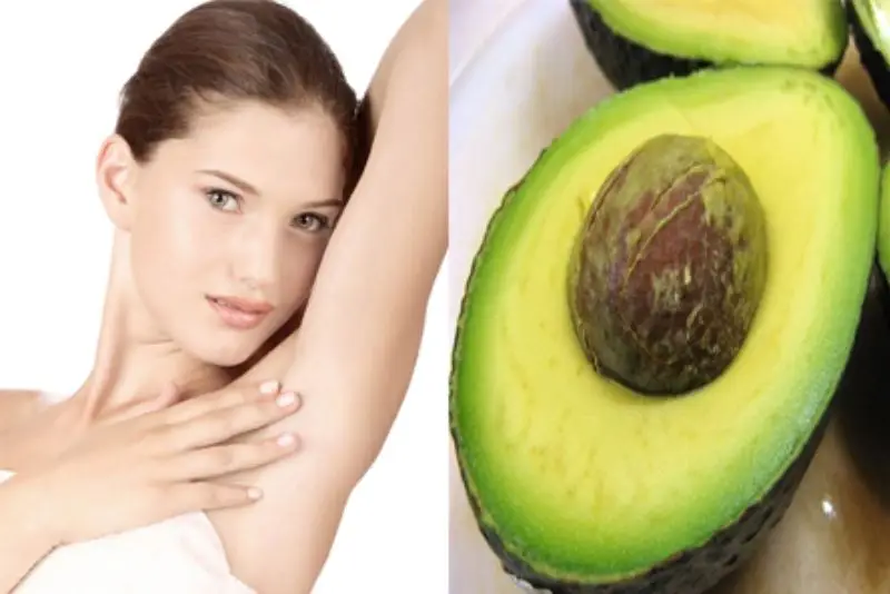 Bơ giúp làm mềm lông