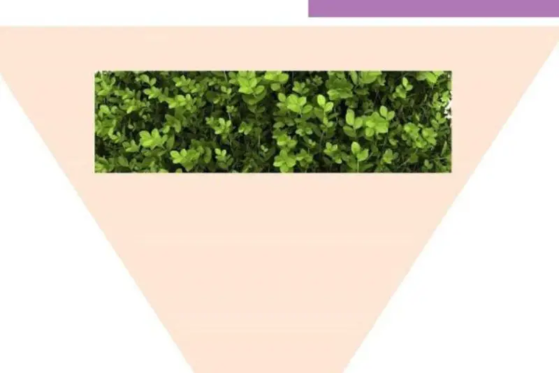 Tạo hình kiểu Chaplin