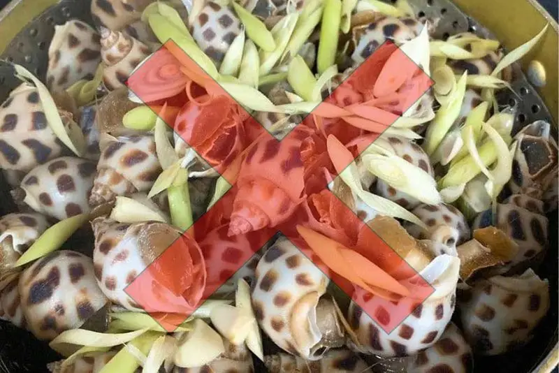 Chưa nên ăn ốc sau nâng ngực 10 ngày