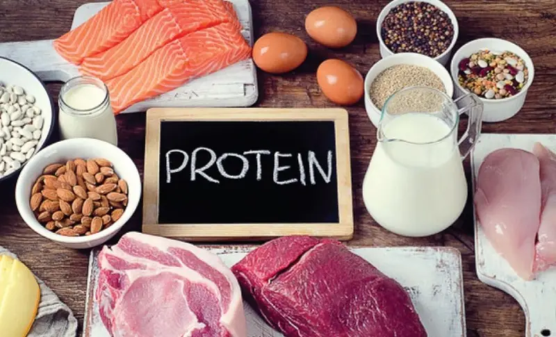 Ăn nhiều protein để tăng cường khả năng no lâu