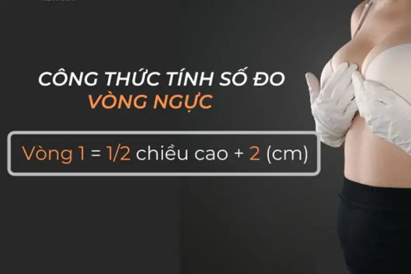 Công thức tính số đo vòng ngực