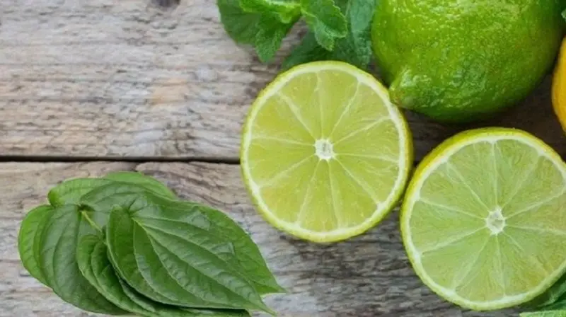 Chanh và lá trầu không có thể làm giảm mùi hôi nách cho mẹ bầu