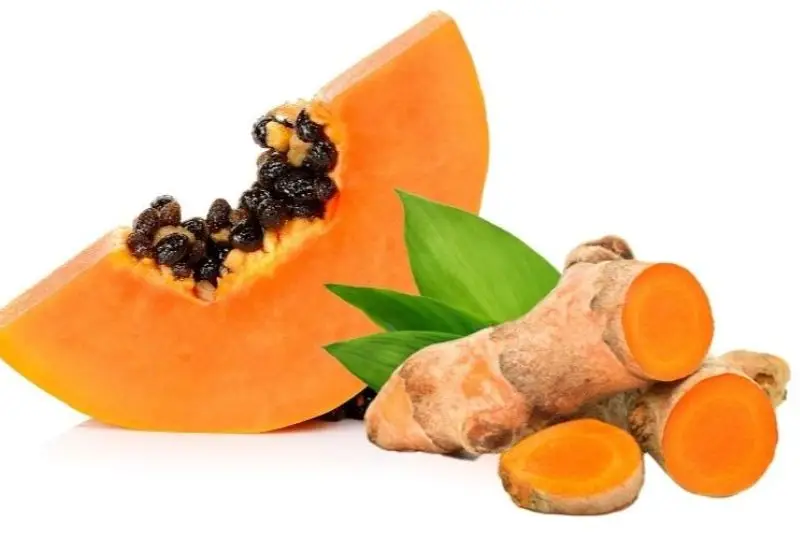 Đu đủ chứa papain có khả năng phá vỡ cấu trúc protein của nang lông