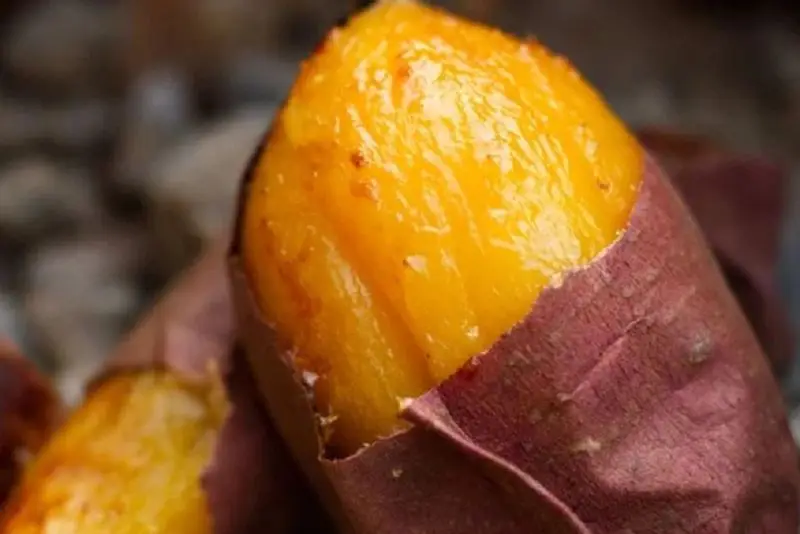 Nên ăn khoai lang luộc, hấp