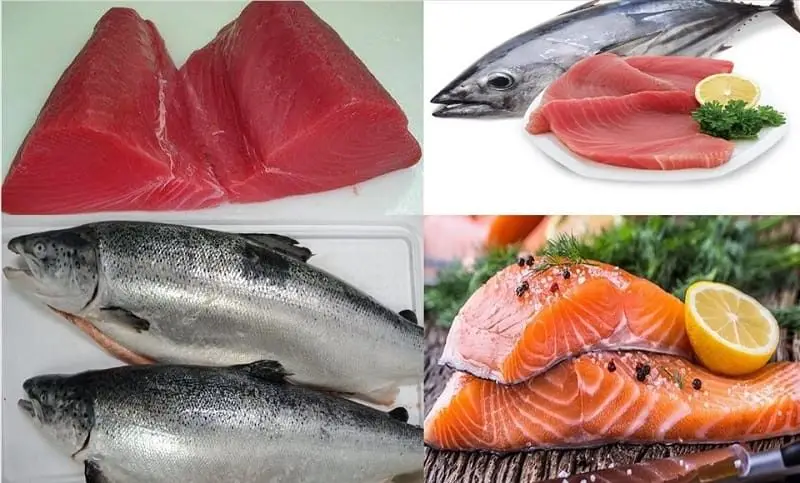 Mới nhấn mí không nên ăn cá