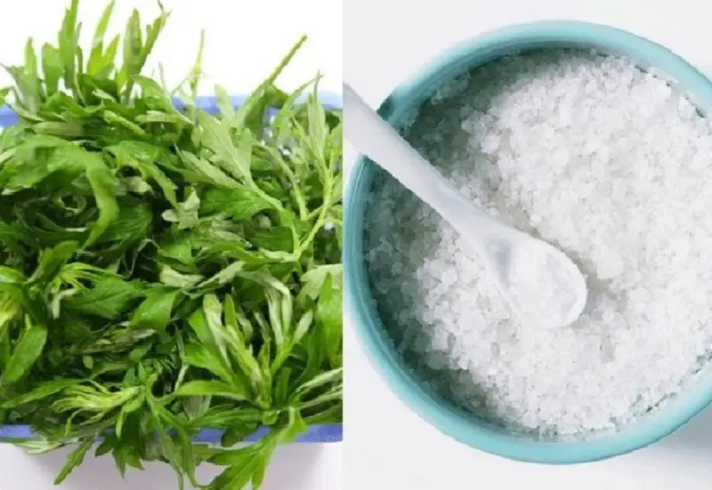 Sử dụng phèn chua kết hợp cùng với ngải cứu