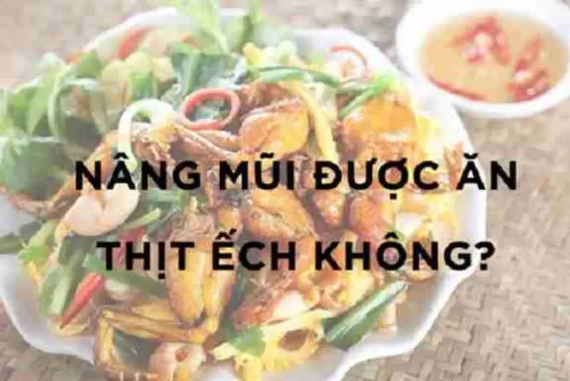 Thịt ếch là thực phẩm nên kiêng sau khi nâng mũi để tránh kích ứng và sưng viêm