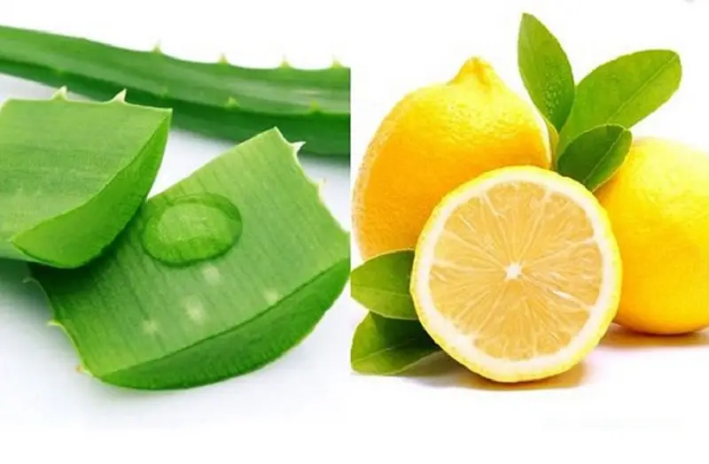 Có thể trị sẹo lồi bằng nha đam kết hợp với chanh tươi