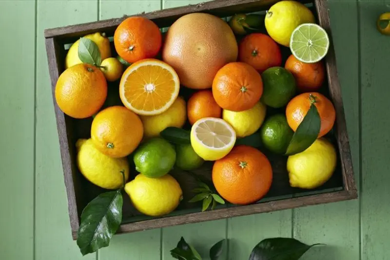 Trái cây họ cam quýt