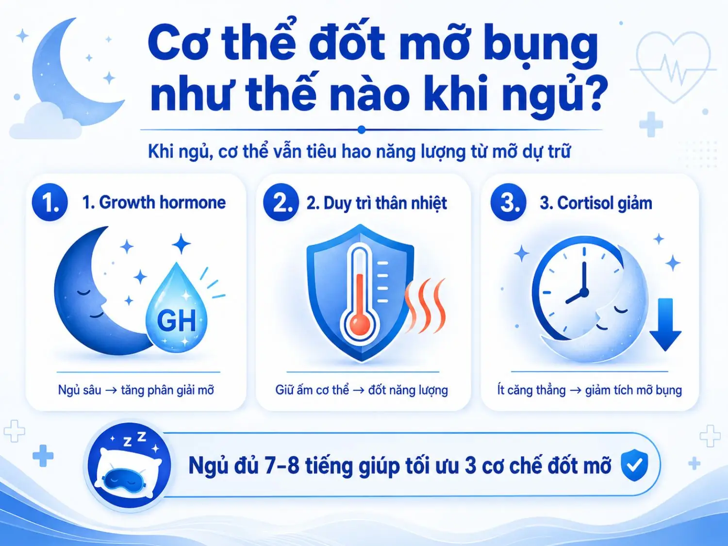 Khi ngủ, cơ thể vẫn tiếp tục tiêu hao năng lượng thông qua nhiều cơ chế sinh học tự nhiên. Ngủ đủ 7–8 tiếng giúp tối ưu quá trình tiết growth hormone, giữ ổn định thân nhiệt và giảm cortisol, từ đó hỗ trợ chuyển hóa mỡ bụng hiệu quả hơn.