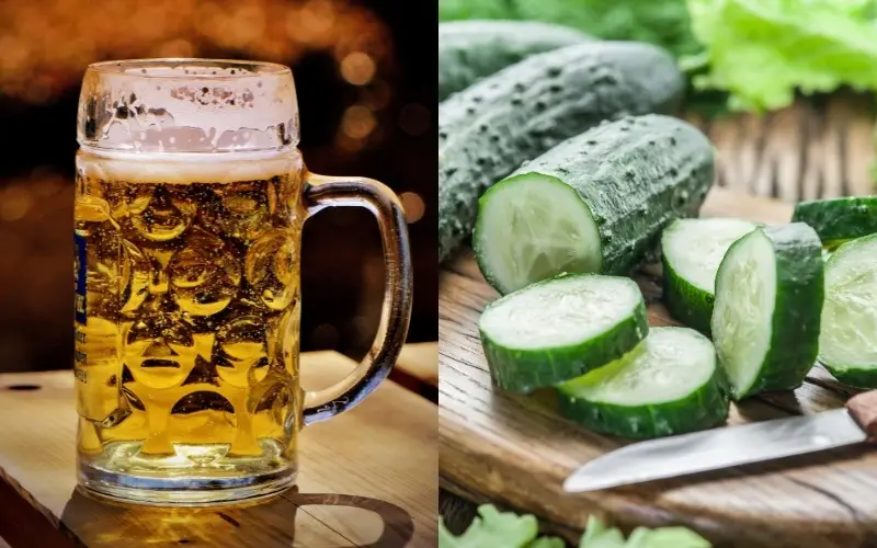 Tắm bia và dưa chuột khoảng 2 - 3 lần mỗi tuần sẽ giúp làm trắng da