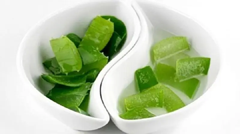 Tắm trắng bằng bột ngọc trai và nha đam phù hợp với làn da bị rám nắng