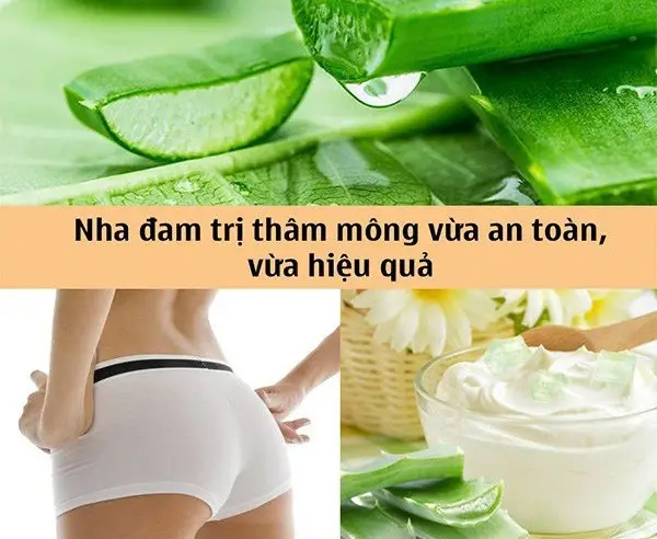Lô hội giúp làm mờ thâm vùng mông