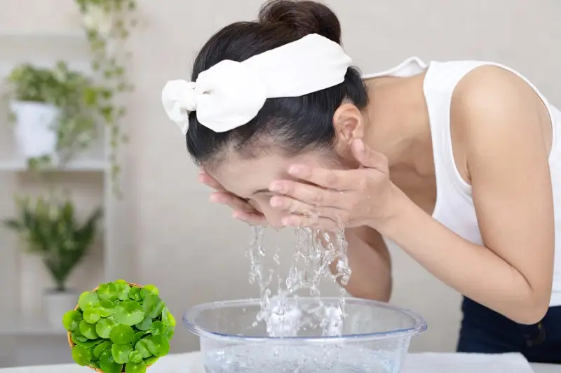 Dùng rau má để làm sạch da mặt