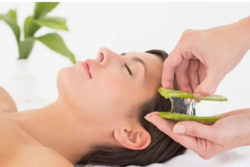 Đắp mặt nạ nha đam tươi