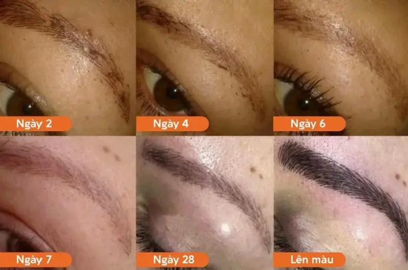 Sau khoảng 1 tháng lông mày lên màu tự nhiên và hài hòa
