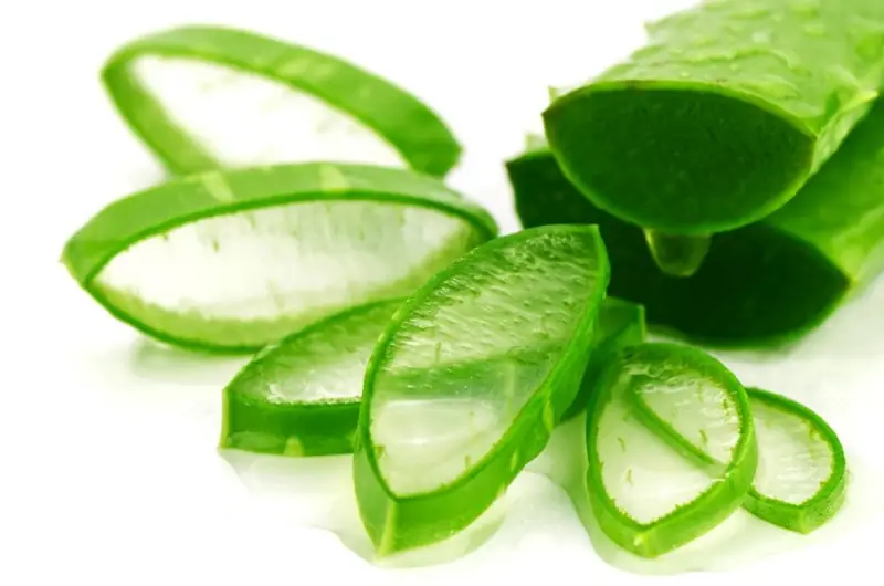 Sử dụng nha đam để thoa lên vùng mí mắt